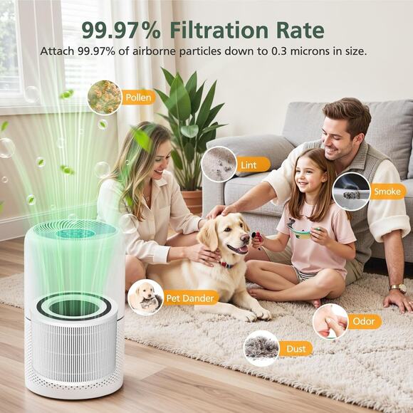 iSinLive Core 300 300S Filters 2-Pack for Levoit 300-P White HEPA Replacement - Picture 7 of 8